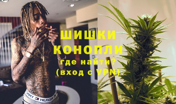 шишки Магас