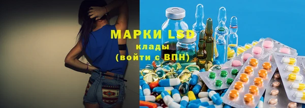 шишки Магас