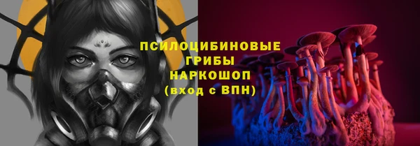 шишки Магас