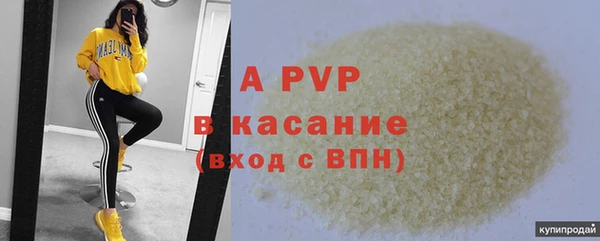 крисы Майский