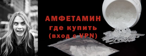 шишки Магас