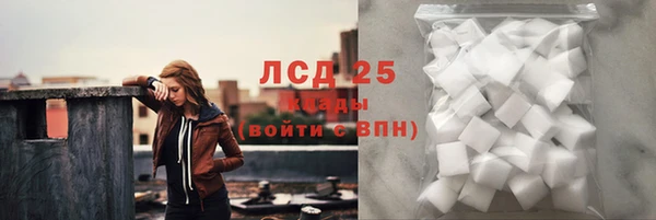 шишки Магас