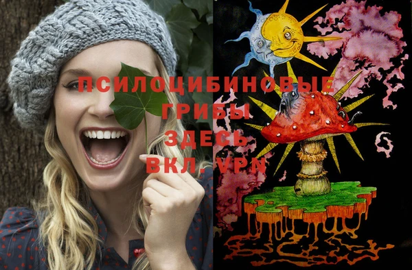 шишки Магас