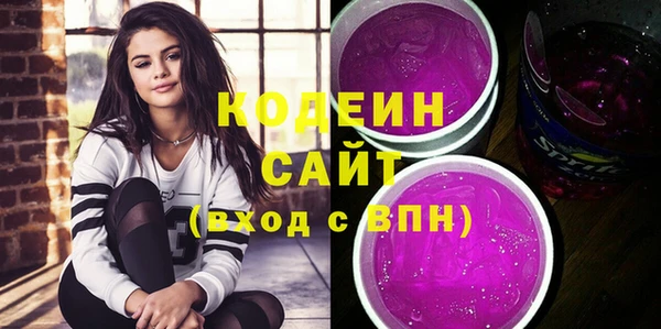 шишки Магас