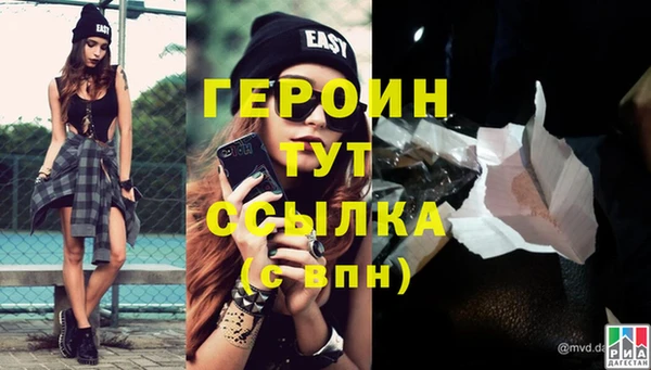 шишки Магас