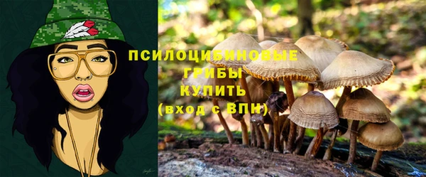 крисы Майский