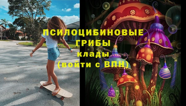 крисы Майский