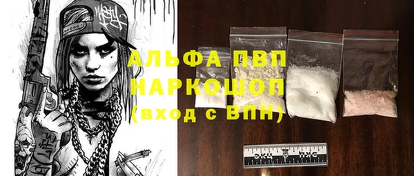 шишки Магас