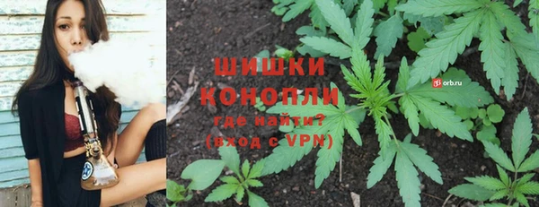 шишки Магас