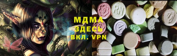 шишки Магас