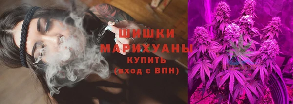 шишки Магас