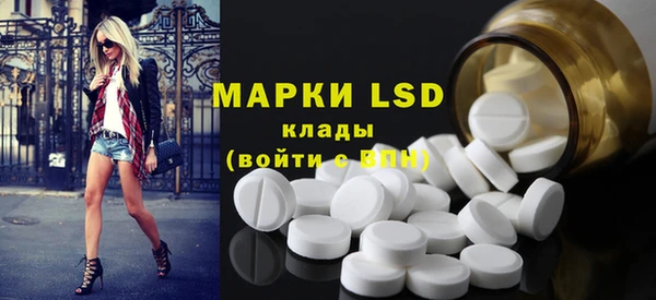 шишки Магас