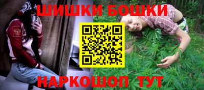 шишки Абакан