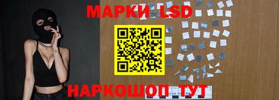 шишки Абакан