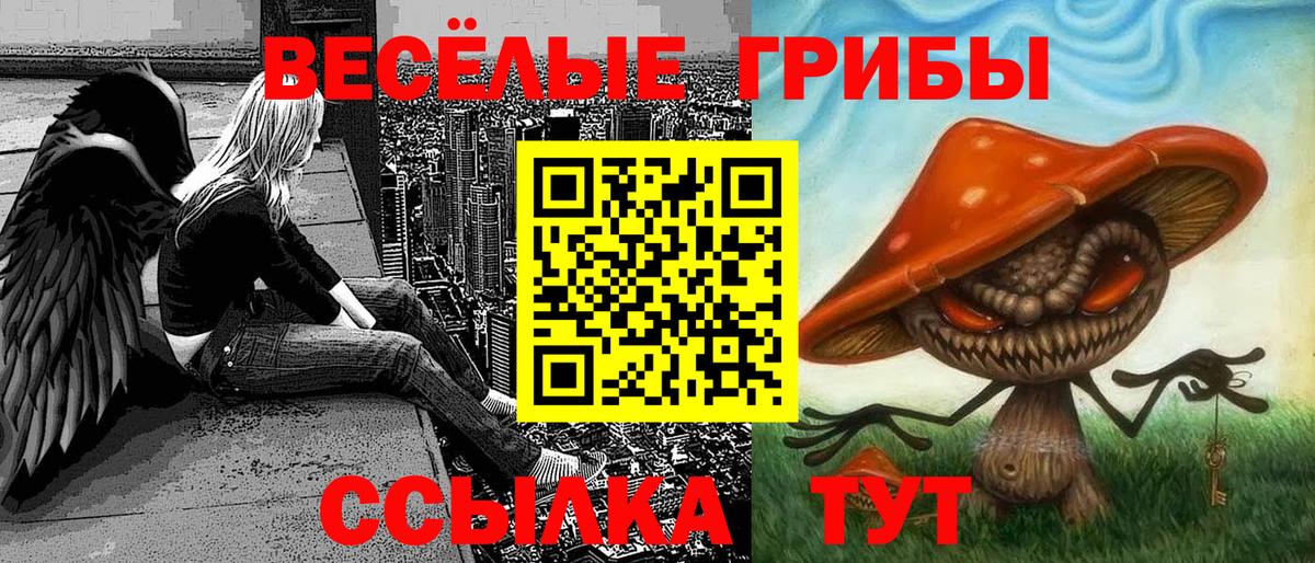 Псилоцибиновые грибы Psilocybine cubensis  Усть-Кут  Галлюциногенные грибы Psilocybe 