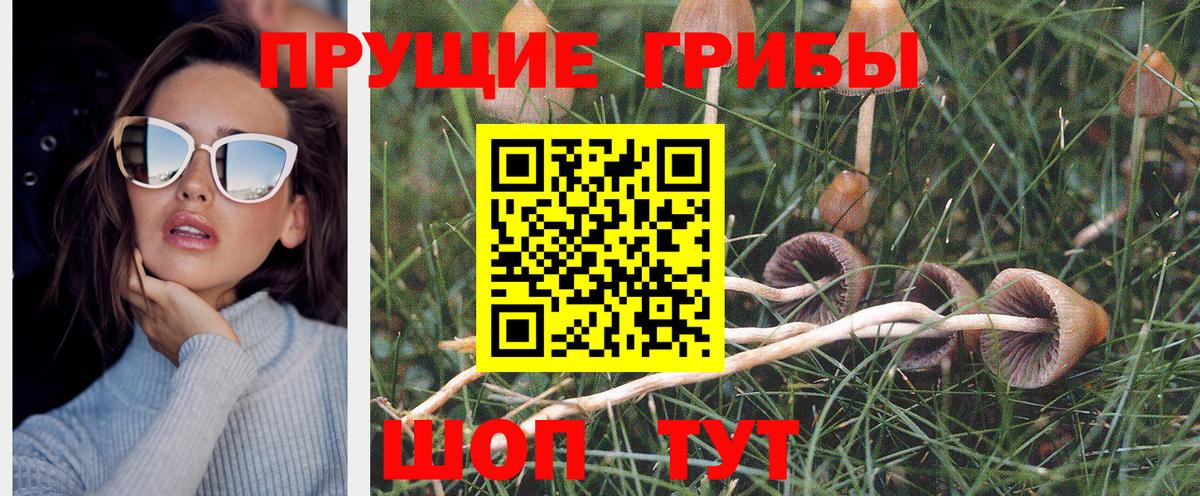 Псилоцибиновые грибы мухоморы  Вход с VPN  Усть-Кут 