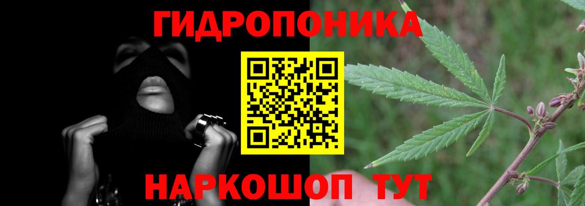 Конопля марихуана  Бошки марихуана Bruce Banner  Марихуана конопля  Усть-Кут  Вход с VPN  Конопля семена 